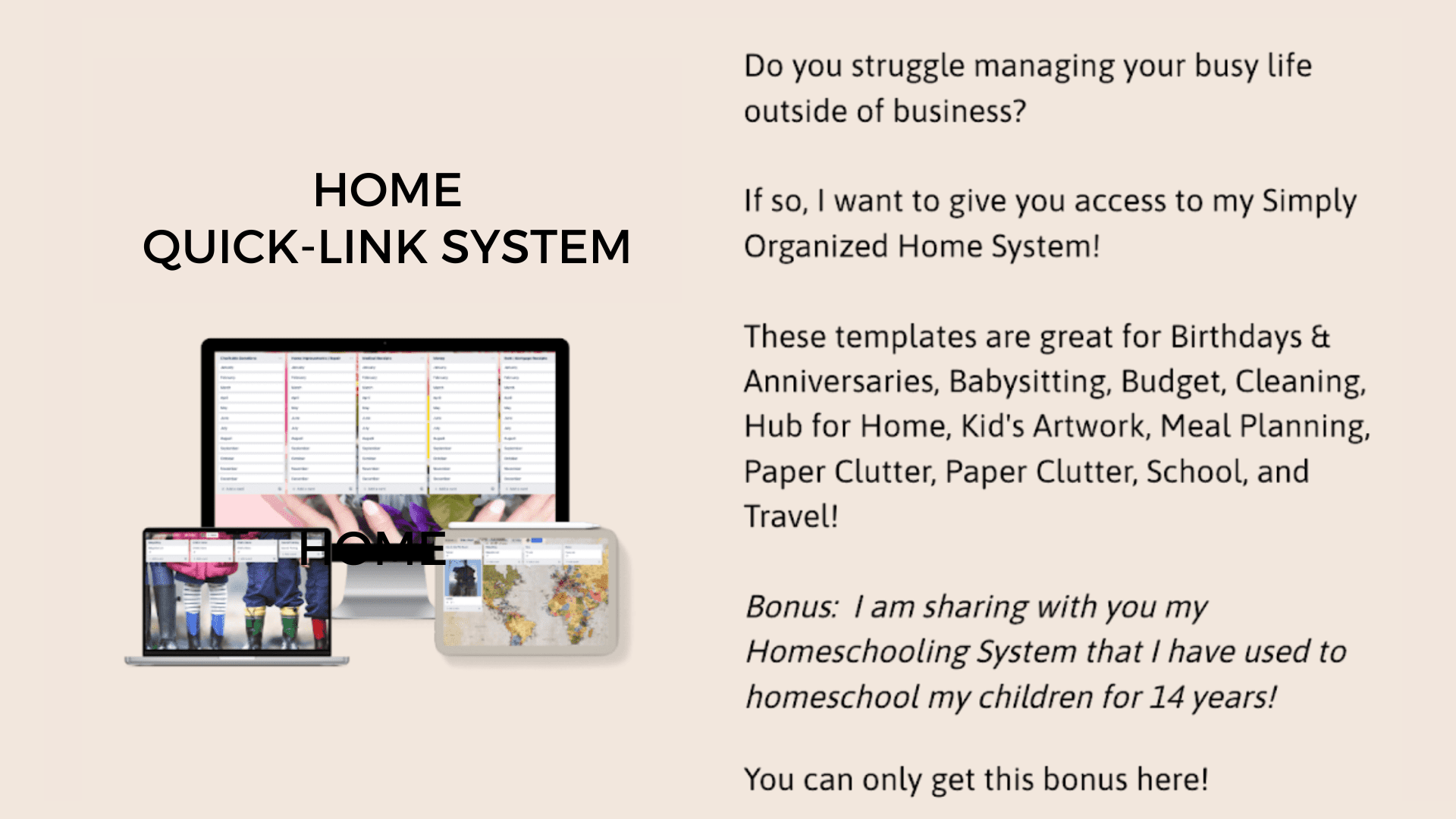 QUICK-LINK SYSTEM